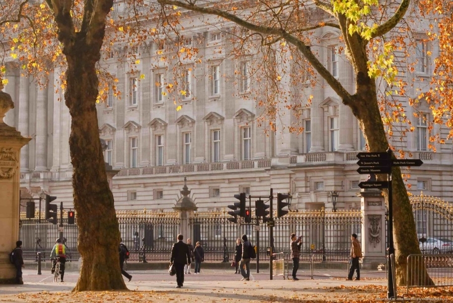 Khung cảnh cung điện Buckingham dịu dàng trong nắng thu