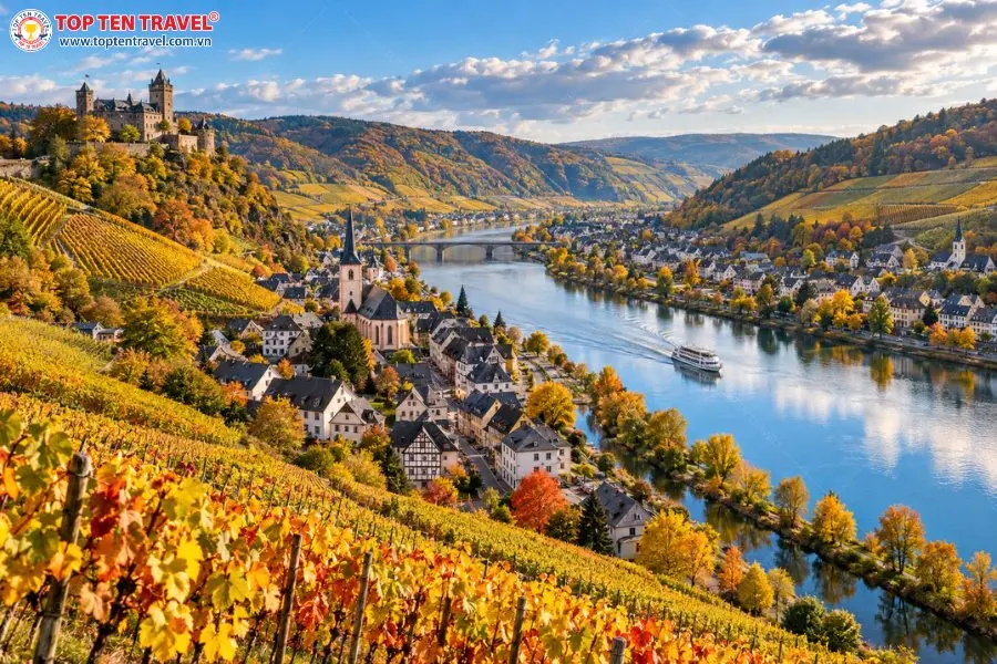 Sắc thu phủ vàng những vườn nho bên dòng Mosel, điểm xuyết làng cổ và lâu đài trên sườn đồi