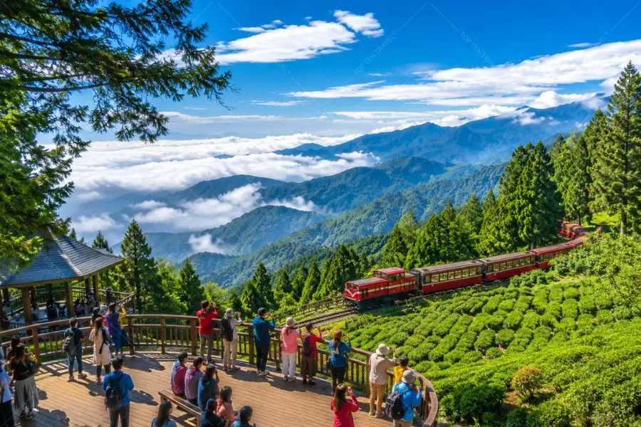 Toàn cảnh núi Alishan mùa hè xanh mát, nơi thiên nhiên và trải nghiệm hòa quyện đầy cuốn hút