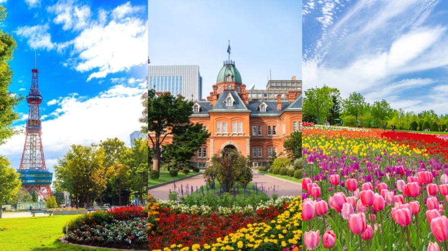 Hokkaido là hòn đảo lớn thứ hai của Nhật Bản, nổi tiếng với thiên nhiên hoang sơ và những trải nghiệm độc đáo