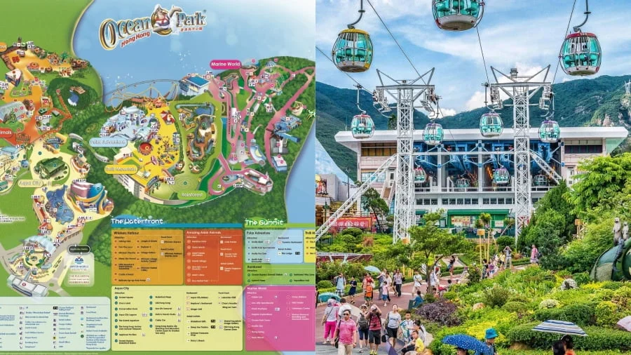 Ocean Park Hồng Kông là một công viên giải trí đa sắc màu vô cùng nổi tiếng