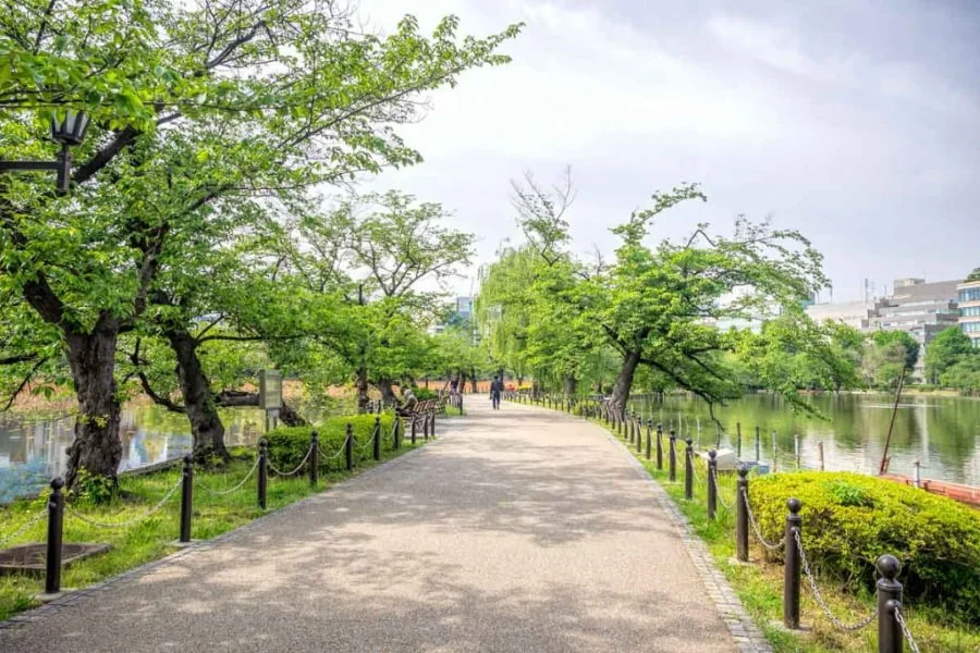Công viên Ueno tựa như một viên ngọc xanh quý giá giữa lòng Tokyo, mang đến một không gian thư thái và yên bình