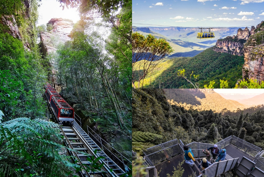 Đến Blue Mountain & Scenic World du khách có thể trải nghiệm tàu sắt hoặc cáp treo để ngắm nhìn thiên nhiên hùng vĩ của nước Úc
