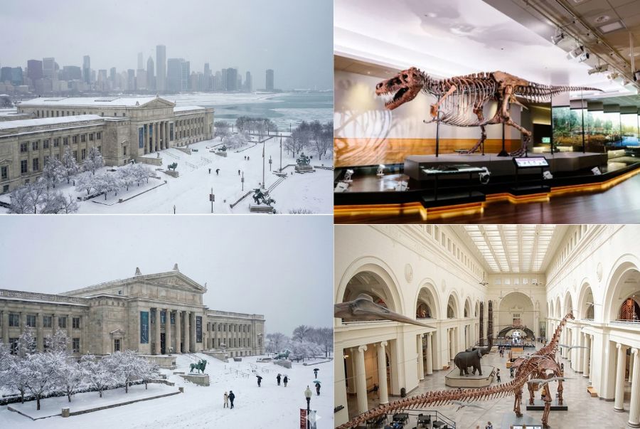 Bảo tàng Field là một trong những bảo tàng lịch sử tự nhiên nổi tiếng nhất thế giới