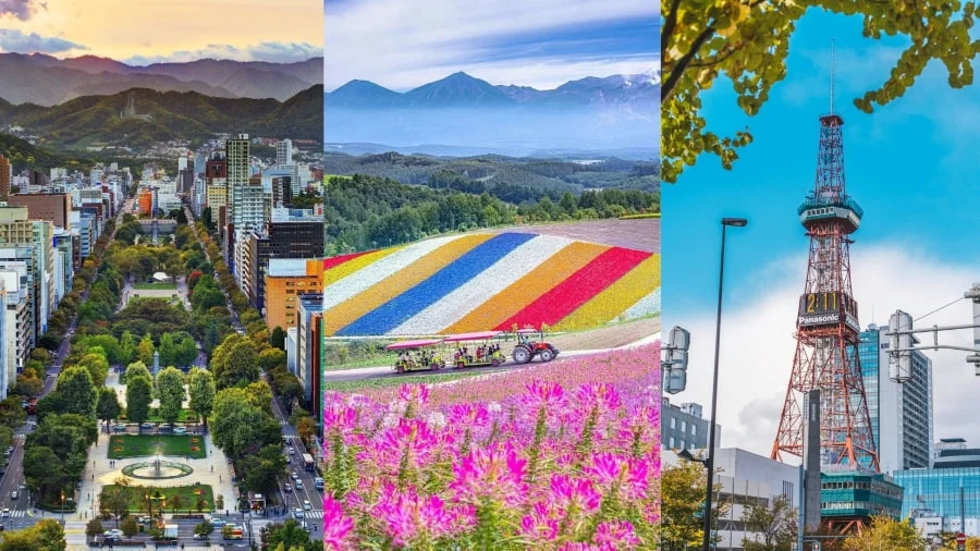 Hokkaido là điểm đến mơ ước của những tâm hồn yêu thiên nhiên và mong muốn tìm kiếm các trải nghiệm độc đáo