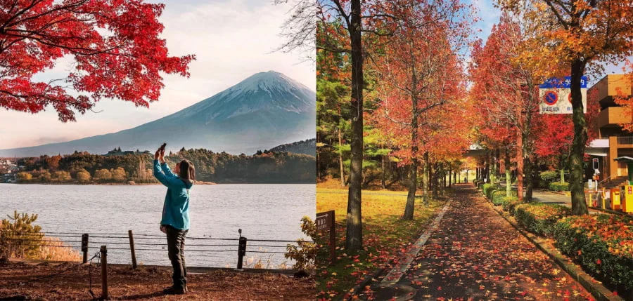 Du lịch Hokkaido khiến nhiều du khách thích thú khi khoác lên mình tấm áo rực rỡ của lá đỏ