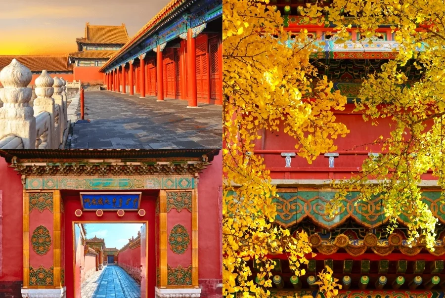 Kiến trúc màu đỏ rực càng làm tôn lên sắc vàng óng ả của lá thu trải dài khắp lối đi