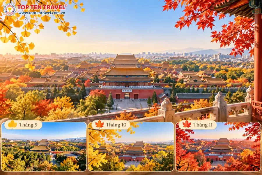 Sự chuyển sắc của Tử Cấm Thành từ tháng 9 đến tháng 11