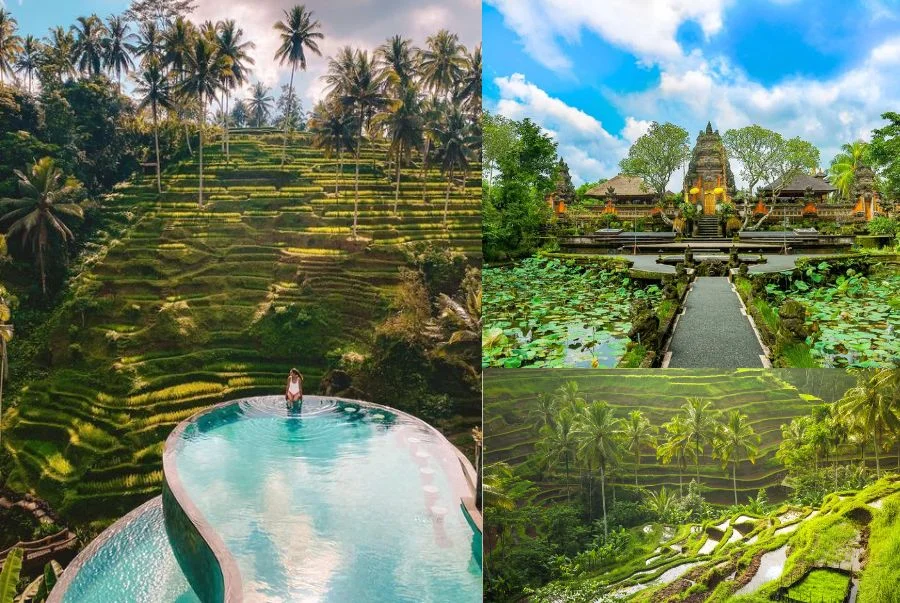 Ubud là địa điểm bình yên nằm ẩn mình giữa vùng cao nguyên xanh mướt của Bali