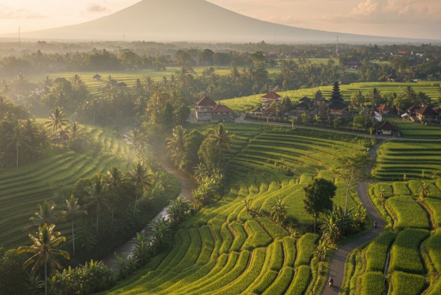 Khung cảnh ruộng bậc thang kết hợp với những ngôi đền cổ kính tại khu vực Ubud xinh đẹp