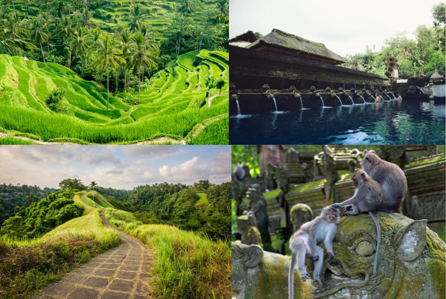 Bali sở hữu rất nhiều khu ubud nổi tiếng với các trải nghiệm đa dạng khác nhau