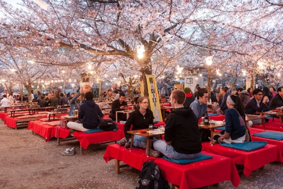 Tổ chức tiệc là hoạt động đặc trưng của văn hoá Hanami