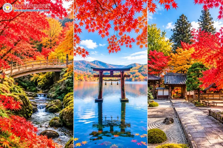 Những điểm ngắm lá đỏ mang vẻ đẹp đặc trưng của mùa thu Hakone