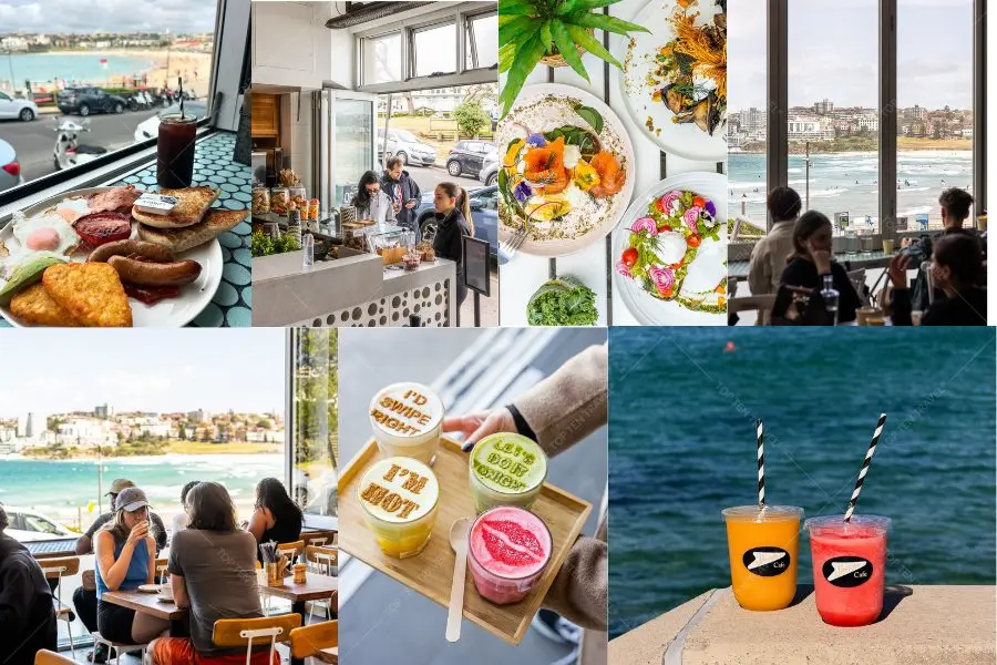View biển Bondi tuyệt đẹp từ Speedos Cafe