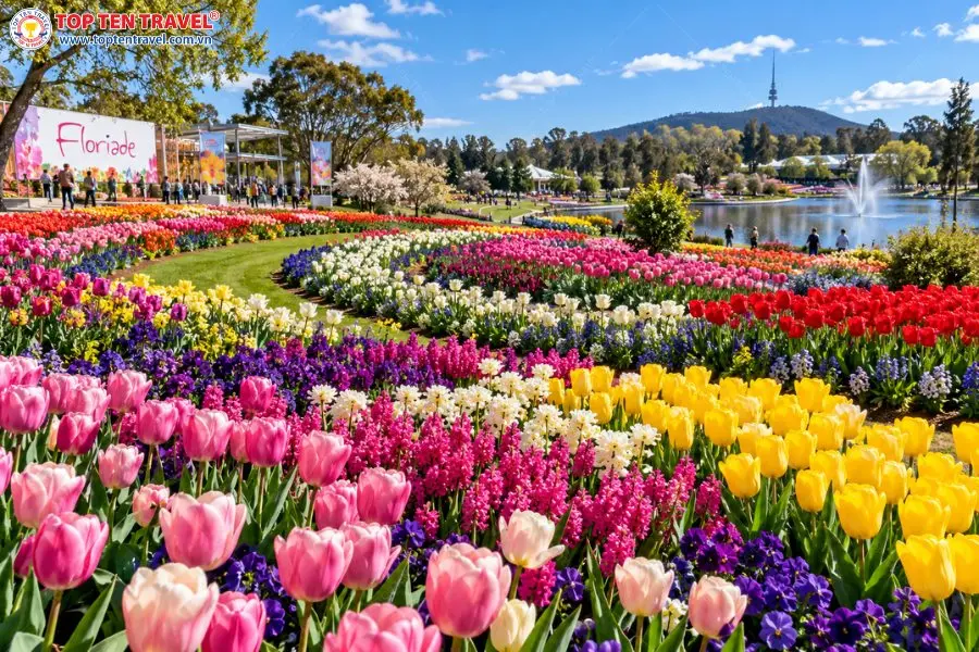 Những luống tulip và hoa mùa xuân nhiều màu tạo nên khung cảnh đầy sức sống tại lễ hội Floriade.