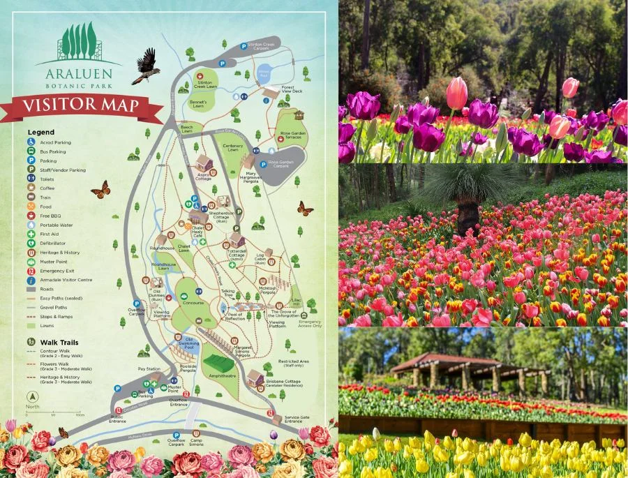 Araluen Botanic Park là một trong những vườn hoa mùa xuân nổi bật nhất của Tây Úc với diện tích rộng lớn