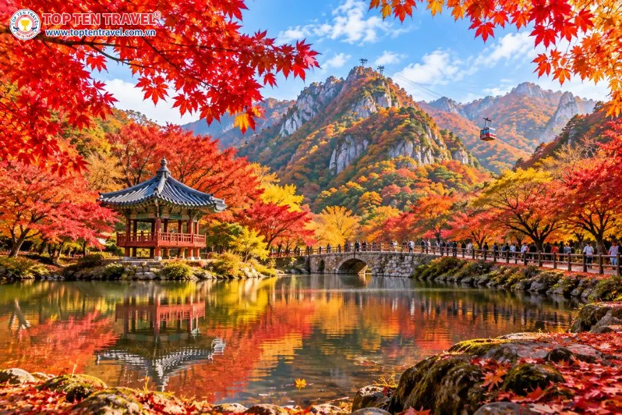 Những con đường uốn lượn bạt ngàn sắc lá vàng, đỏ, cam thật ấn tượng tại Vườn quốc gia Naejangsan