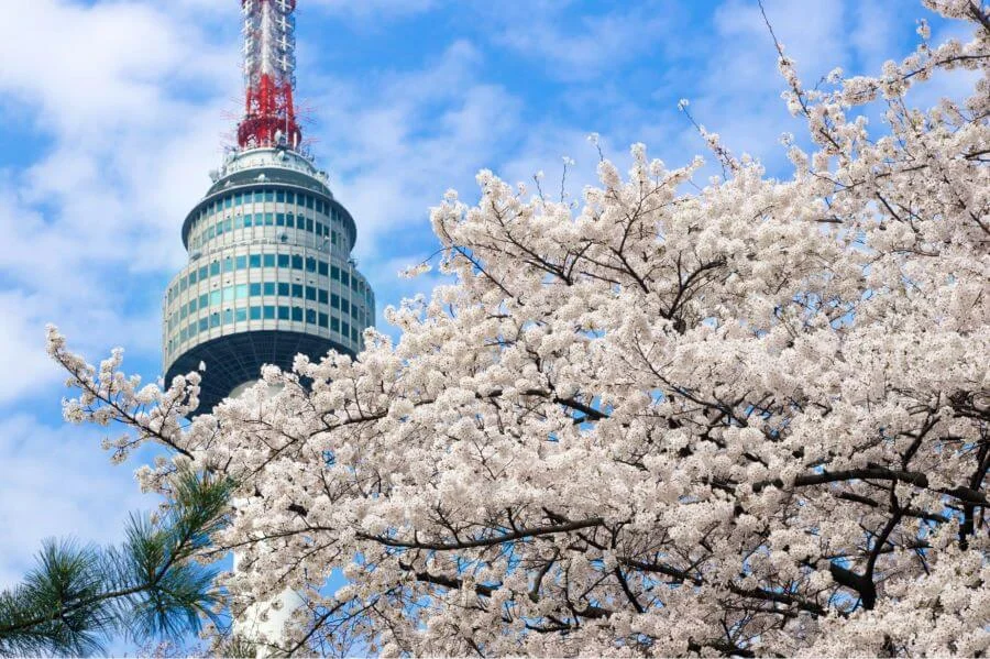Không chỉ là một biểu tượng của thành phố, N Seoul còn mang đến nhiều trải nghiệm tuyệt vời cho du khách