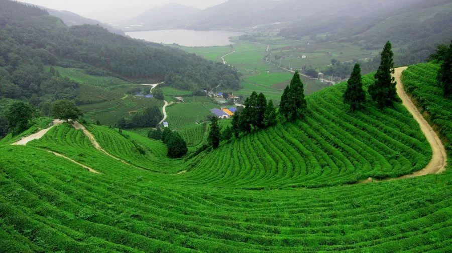 10+ địa điểm Bạn nên ghé thăm tại Trung Quốc