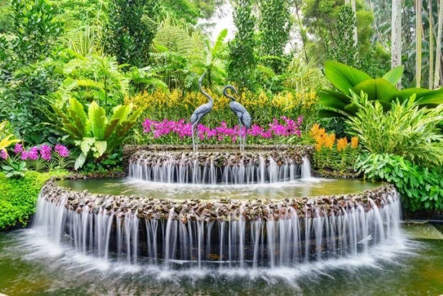 Vẻ bình yên, trong lành của Vườn Bách Thảo