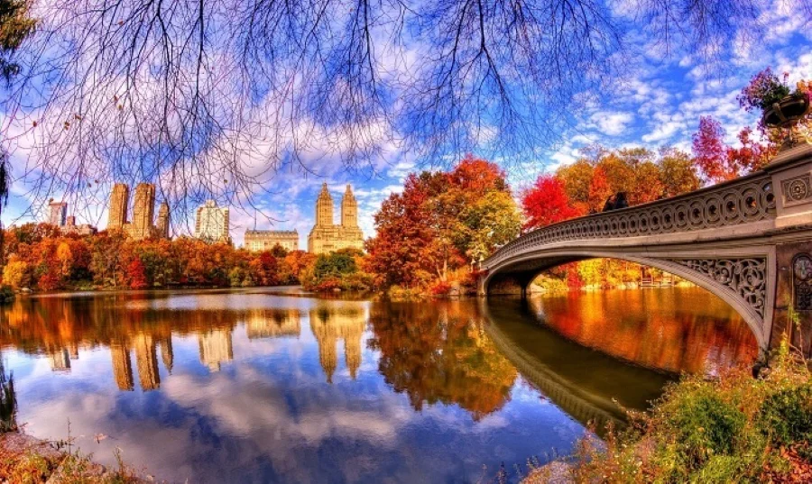 Đi dạo tại công viên Central Park là một trải nghiệm tuyệt vời