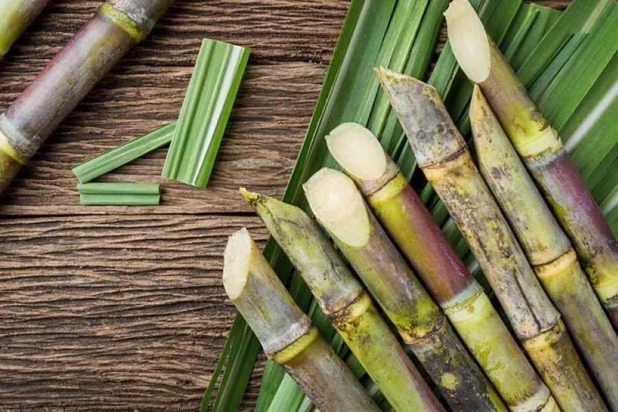 Thái Lan là quốc gia xuất khẩu mía đường lớn thứ hai trên thế giới