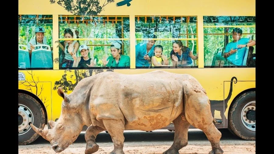 Vinpearl Safari Phú Quốc là ngôi nhà chung của nhiều loài động vật