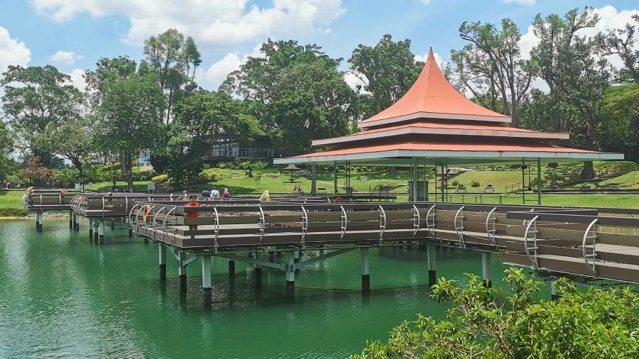 Công viên MacRitchie Reservoir được ví là viên ngọc xanh