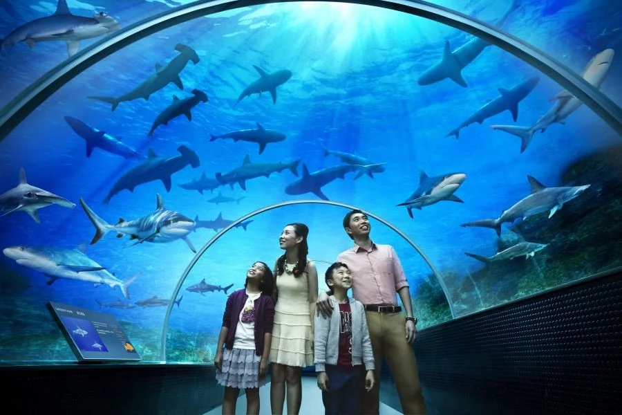 Thuỷ Cung S.E.A Aquarium Singapore là một trong những thủy cung lớn nhất trên thế giới