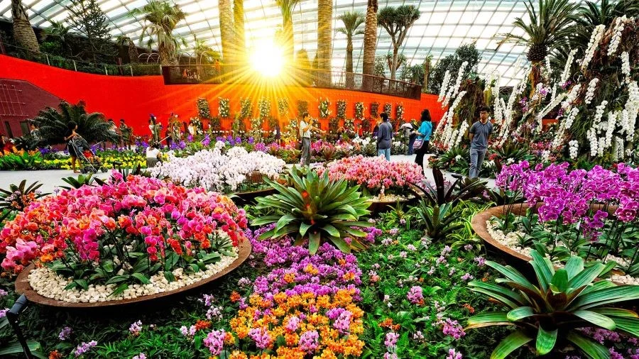 Gardens by the Bay là một công viên nằm ở trung tâm của đảo quốc Sư Tử