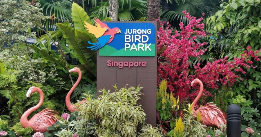 Vườn Chim Jurong Singapore sở hữu nhiều loài chim khác nhau