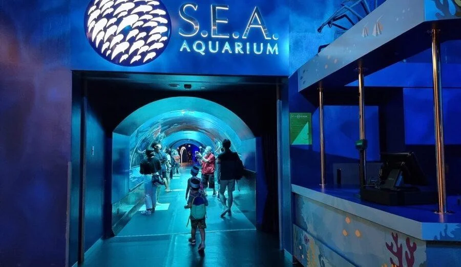 Khám phá thế giới biển khơi tuyệt diệu tại S.E.A. Aquarium là trải nghiệm không nên bỏ qua 