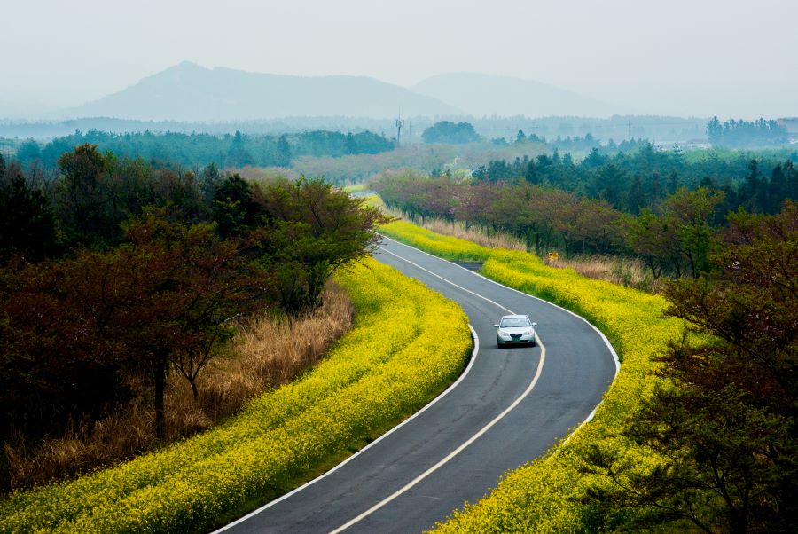 Đảo Jeju -