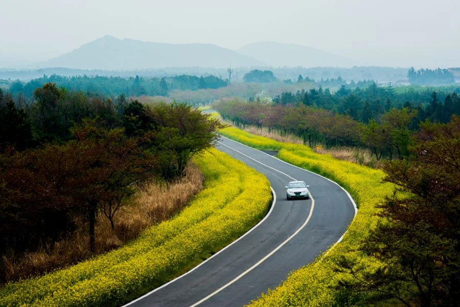Đảo Jeju - 