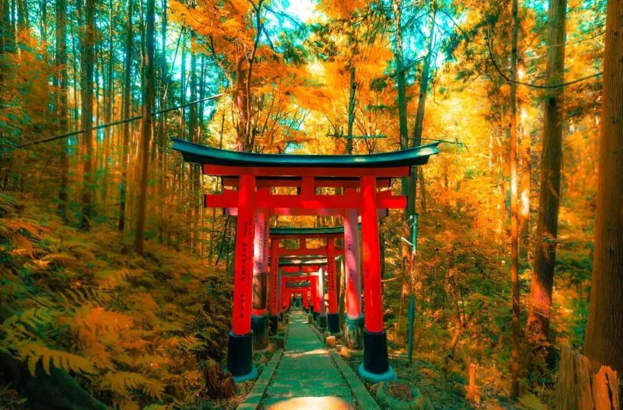 Con đường mòn được tạo nên bởi hàng nghìn cổng Torii màu đỏ liên tiếp nhau cực kỳ ấn tượng 