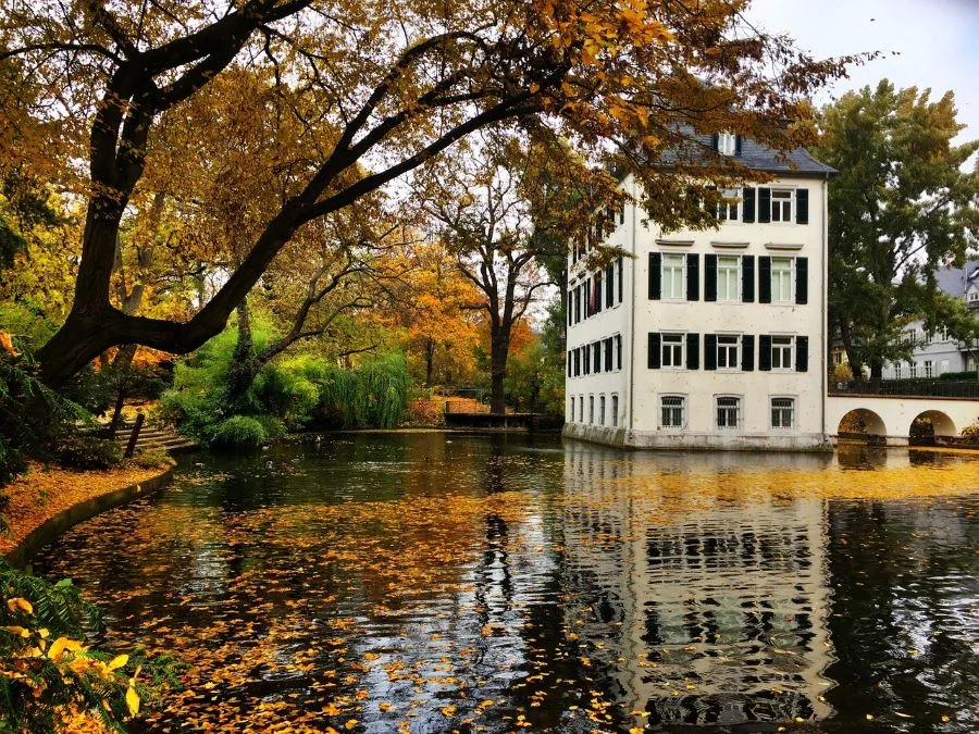 Lâu đài Holzhausen - điểm đến lý tưởng bậc nhất du khách không nên bỏ qua tại thành phố Frankfurt