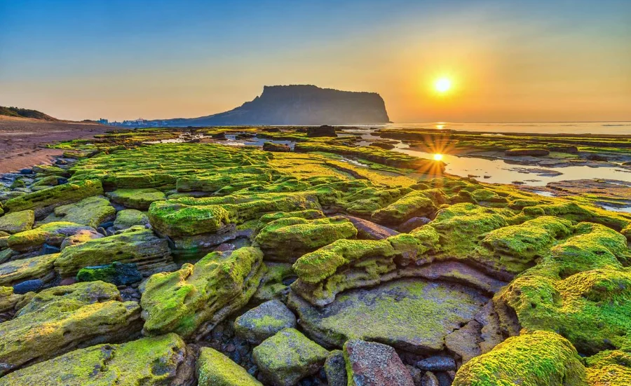 Seongsan Ilchulbong được ví von như “Hawaii của Hàn Quốc” nhờ sở hữu cảnh sắc thiên nhiên tươi đẹp, mỹ miều