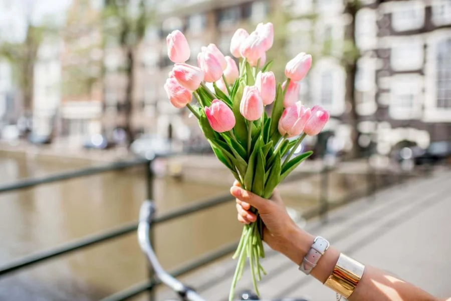 Du khách có thể mua hạt hoa tulip về để tự trồng tại nhà
