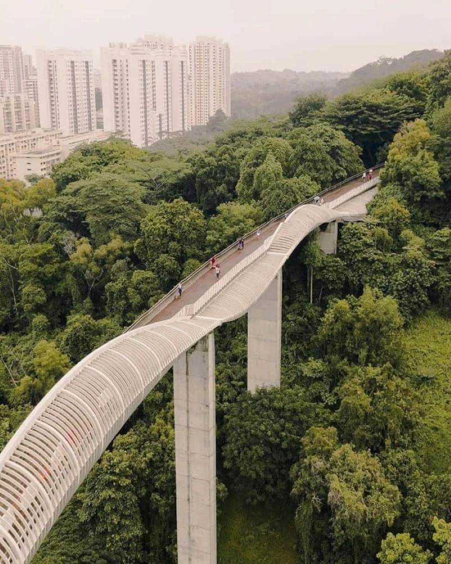 Giữa nhịp sống hối hả của Singapore hiện đại, ẩn mình một kiệt tác kiến trúc độc đáo - cây cầu Henderson Waves