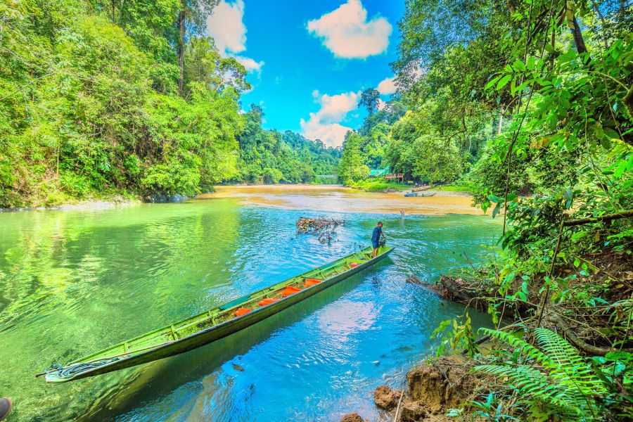 Du khách sẽ được khám phá vườn quốc gia Ulu Temburong - viên ngọc xanh của Brunei