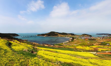 Le hoi hoa cai Han Quoc