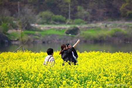 Le hoi hoa cai Han Quoc