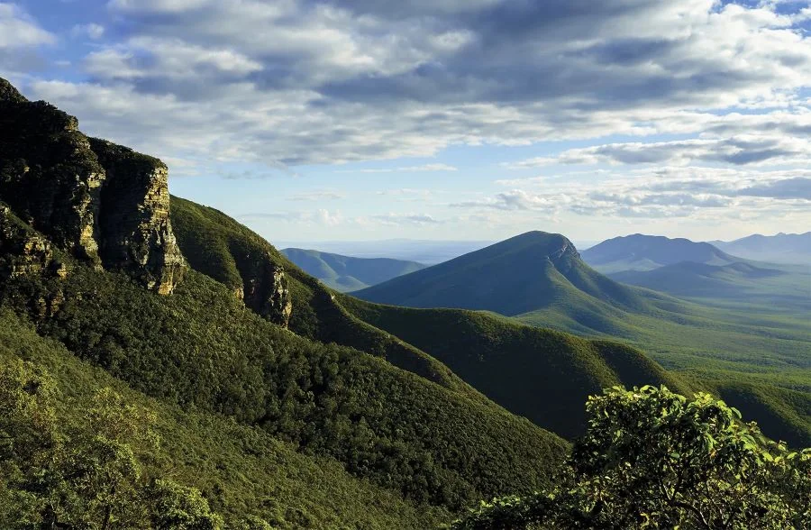 Western Australia - nơi đây có thảm thực vật vô cùng đa dạng, phong phú