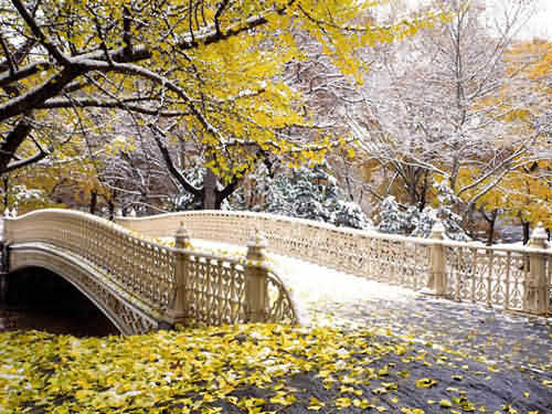Thu Han Quoc Thu Han Quoc