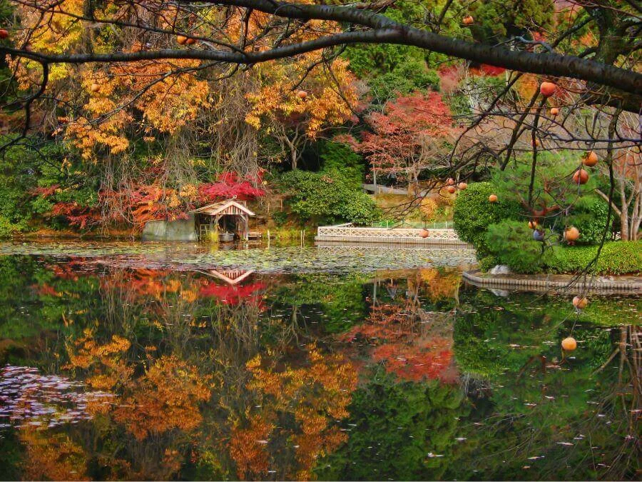 Ryoan-ji còn có một hồ nước lớn với những hòn đảo nhỏ, những cây cầu đá và những khu vườn rêu xanh mướt vô cùng lãng mạn