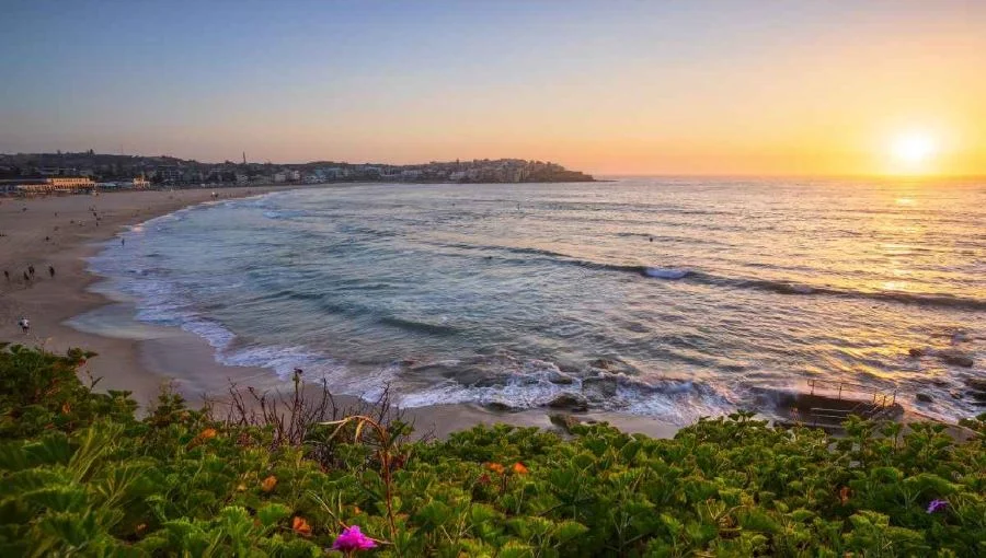 Tận hưởng bãi biển Bondi đẹp nhất nhì nước Úc