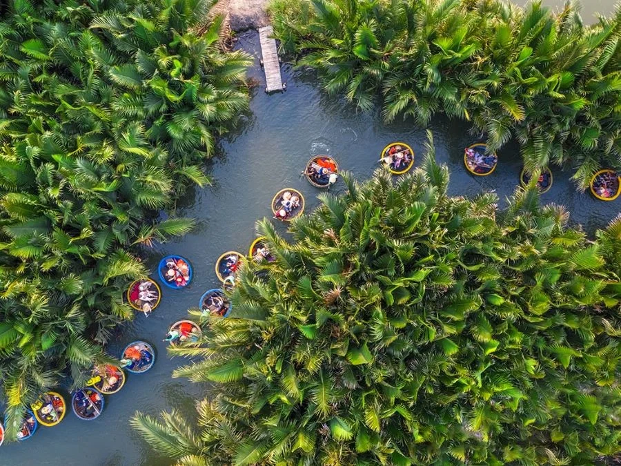 Khám phá vẻ đẹp tại Rừng dừa Bảy Mẫu