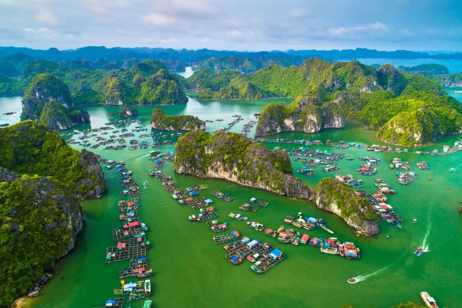 Chinh phục Đảo Cát Bà tại Vịnh Hạ Long