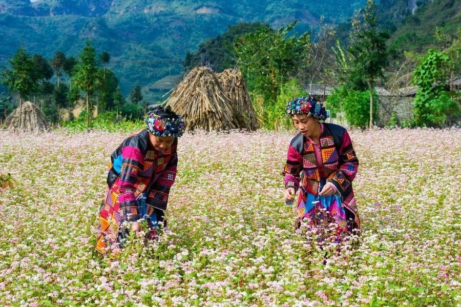 Vẻ đẹp của phong cảnh và con người của Hà Giang luôn làm người khác phải trầm trồ