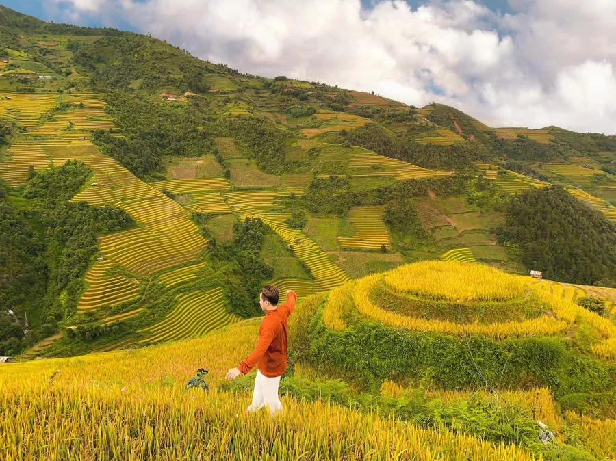 Check in đồi mâm xôi mùa lúa chín Mù Cang Chải